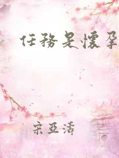 任务是怀孕系统