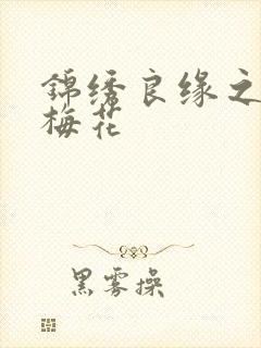 锦绣良缘之驿寄梅花