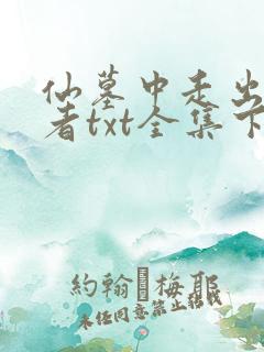 仙墓中走出的强者txt全集下载