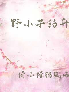 野小子的升官路