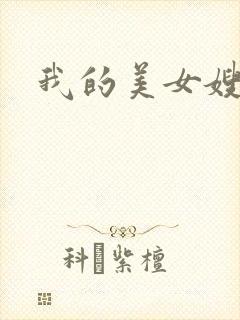 我的美女嫂嫂