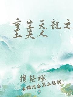 重生天龙之推倒王夫人