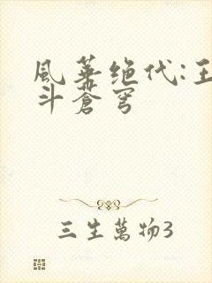 风华绝代:王妃斗苍穹