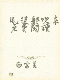 风从那吹来小说免费阅读