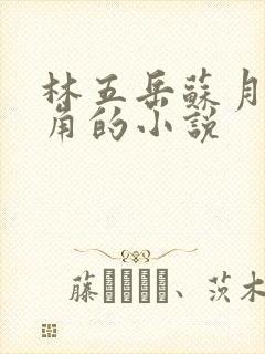 林五岳苏月灵主角的小说