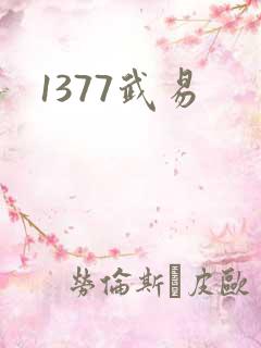 1377武易