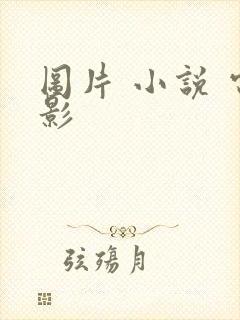 图片 小说 电影