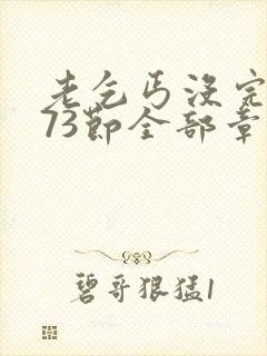 老乞丐没完没了73节全部章节内容