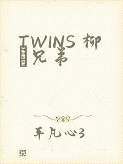 TWINS 柳澤兄弟