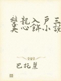 双龙入户三人行夹心饼小说