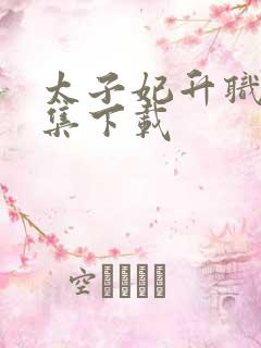 太子妃升职记全集下载