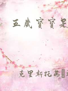 五岁宝宝是间谍