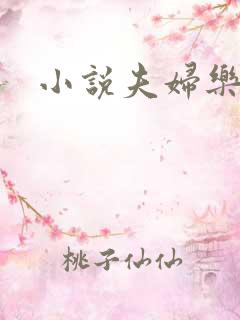 小说夫妇乐园
