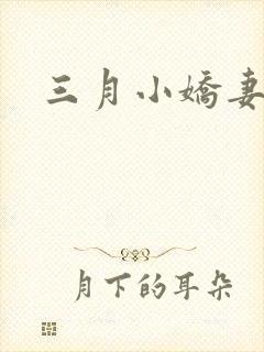 三月小娇妻