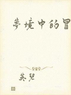 梦境中的冒险家