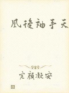 凰后袖手天下