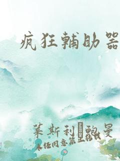 疯狂辅助器