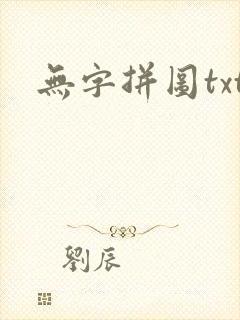无字拼图txt
