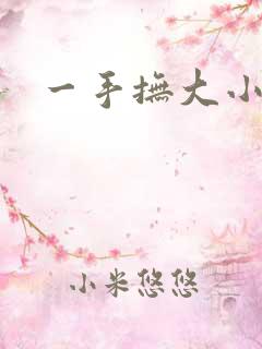 一手抚大小说