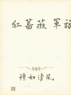 红蔷薇 军旅文