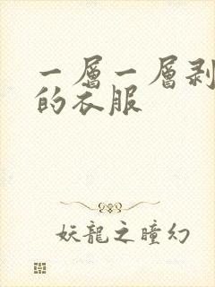 一层一层剥开我的衣服