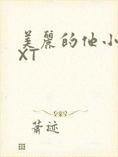 美丽的他小说TXT