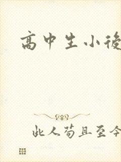 高中生小后妈