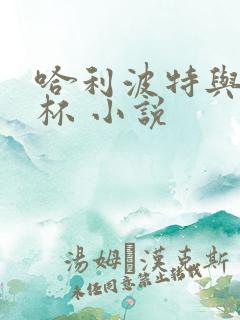 哈利波特与火焰杯 小说