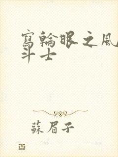 写轮眼之风流圣斗士