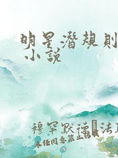 明星潜规则之皇 小说