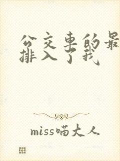 公交车的最后一排入了我