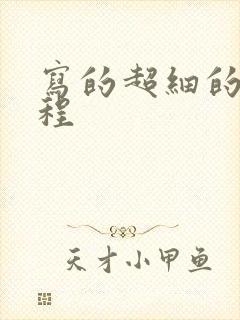 写的超细的做过程