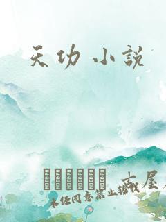 天功 小说