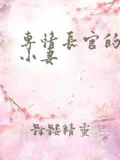 专情长官的天价小妻