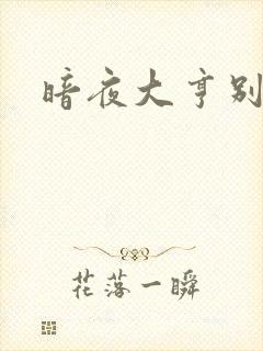 暗夜大亨别烦我