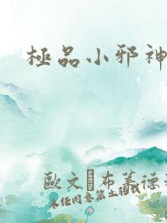 极品小邪神
