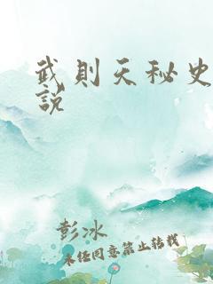 武则天秘史 小说