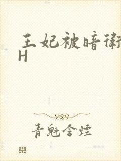 王妃被暗卫肉高H