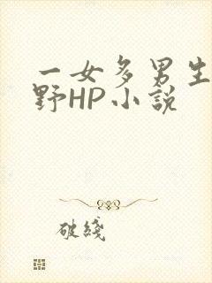 一女多男生活狂野HP小说