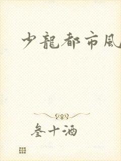 少龙都市风流行