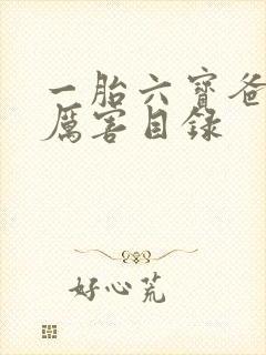 一胎六宝爸比好厉害目录