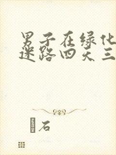 男子在绿化带内迷路四天三夜