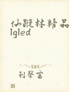 仙踪林精品zzlgled