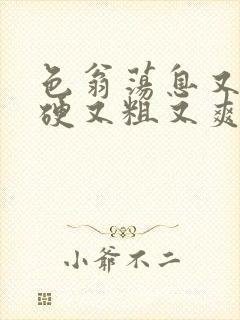 色翁荡息又大又硬又粗又爽