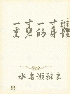 一寸一寸进入萧熏儿的身体里