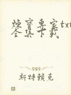 炼宝专家txt全集下载