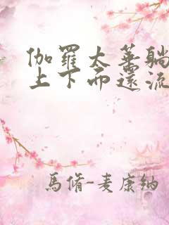 伽罗太华躺在床上下面还流东西