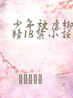 少年被虐绑着榨精18禁小说