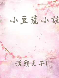 小豆蔻小说