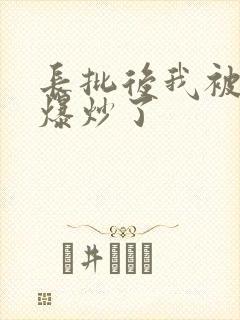 长批后我被宿敌爆炒了